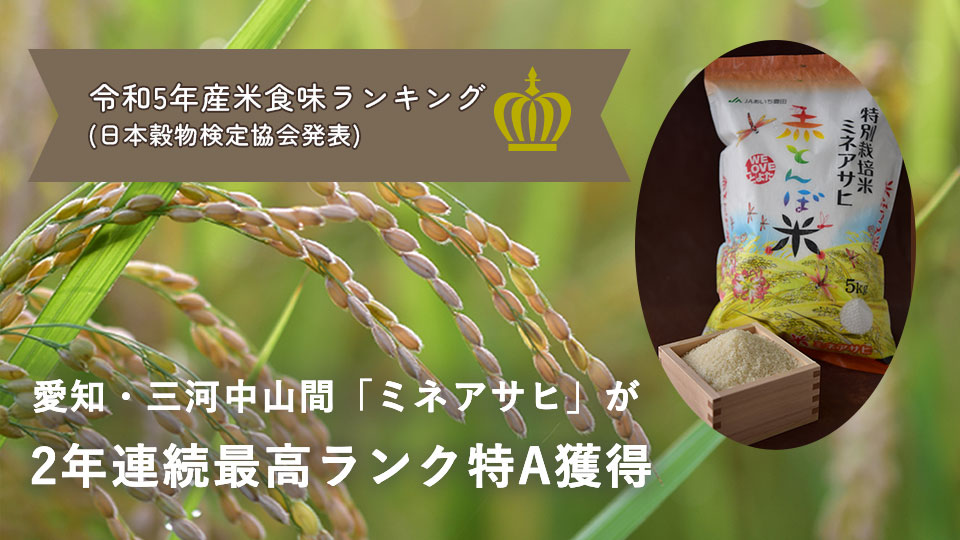 令和5年産米食味ランキング(日本穀物検定協会発表) 愛知・三河中山間「ミネアサヒ」が2年連続最高ランク特A獲得
