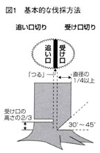 図1 基本的な伐採方法