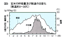 図3 玄米の呼吸量及び穀温の日変化