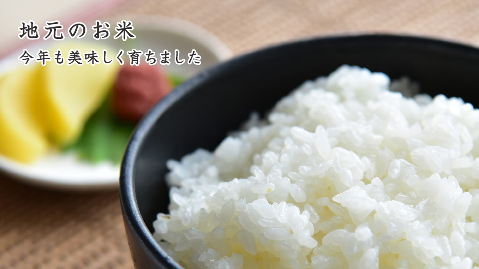 地元のお米 今年も美味しく育ちました