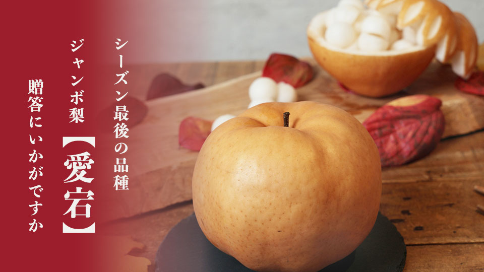 シーズン最後の品種　ジャンボ梨「愛宕」　贈答にいかがですか