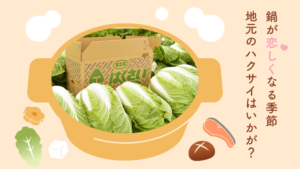 鍋料理が恋しい季節 地元のハクサイはいかが