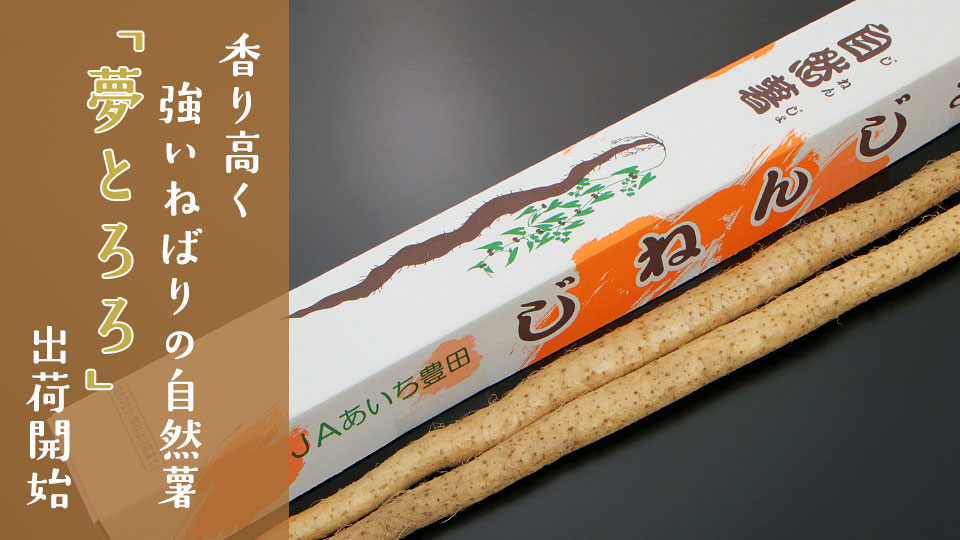 香り高く強いねばりの自然薯　「夢とろろ」出荷開始