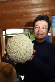 網目で絵を書くメロンオーナーが人気 豊田市太田町 髙山太朗さん jaあいち豊田 網目で絵を書くメロンオーナーが人気 豊田市太田町 髙山太朗さん jaあいち豊田