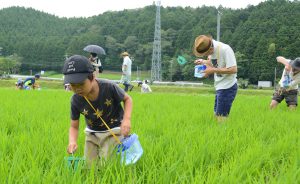 0630赤とんぼ米生き物観察会(1)