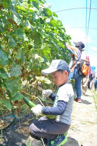 0724夏の初めの農業体験　ナスとキュウリの大収穫祭(1)