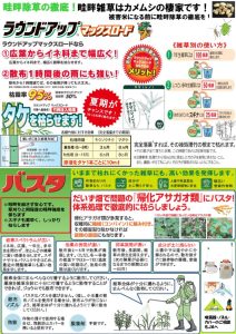 20250401_0731_2のサムネイル